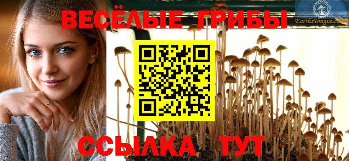Орёл  Псилоцибиновые грибы Cubensis  Вход с VPN 