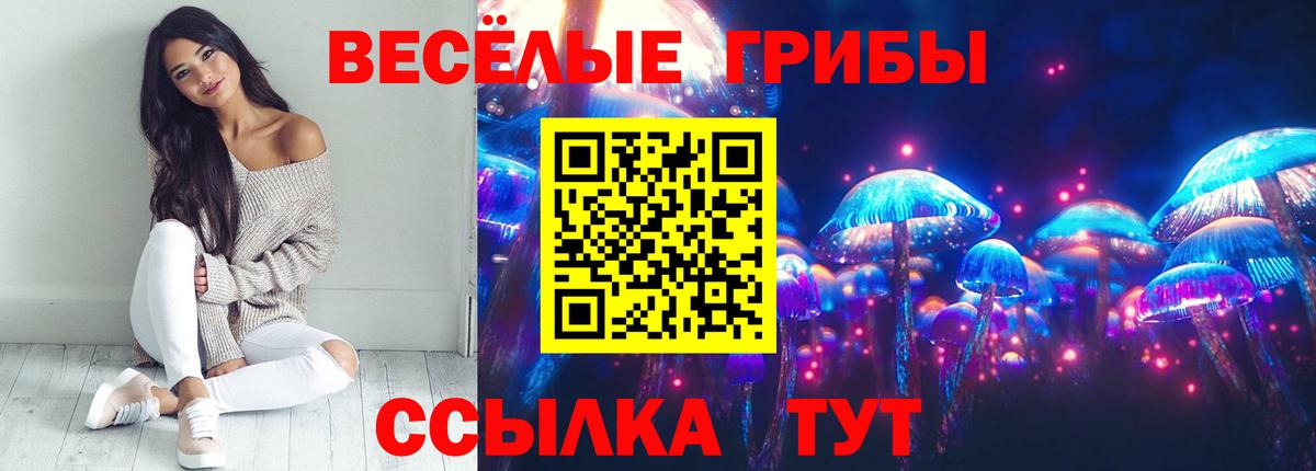 Псилоцибиновые грибы мицелий Орёл